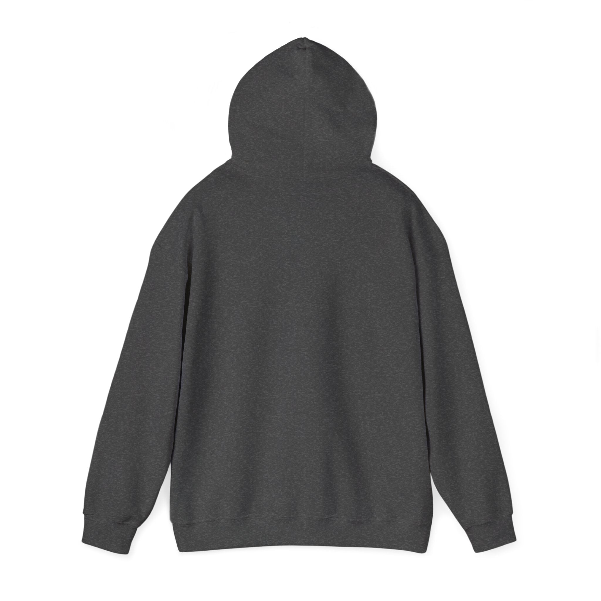 DALZ Hoodie - No life on a Dead Planet